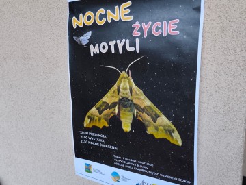 Świecenia nocne w PKWŁ  - czyli bliskie spotkania z motylami nocnymi 11 lipca 2025 r., 