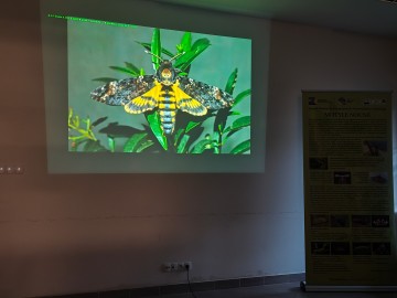 Świecenia nocne w PKWŁ  - czyli bliskie spotkania z motylami nocnymi 11 lipca 2025 r., 