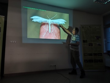 Świecenia nocne w PKWŁ  - czyli bliskie spotkania z motylami nocnymi 11 lipca 2025 r., 