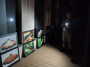 Świecenia nocne w PKWŁ  - czyli bliskie spotkania z motylami nocnymi 11 lipca 2025 r., 