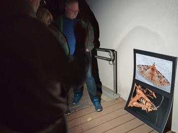 Świecenia nocne w PKWŁ  - czyli bliskie spotkania z motylami nocnymi 11 lipca 2025 r., 