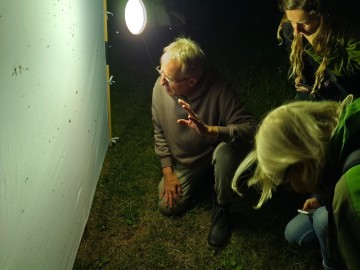 Świecenia nocne w PKWŁ  - czyli bliskie spotkania z motylami nocnymi 11 lipca 2025 r., 