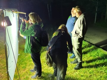 Świecenia nocne w PKWŁ  - czyli bliskie spotkania z motylami nocnymi 11 lipca 2025 r., 