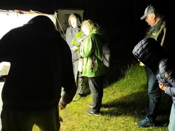 Świecenia nocne w PKWŁ  - czyli bliskie spotkania z motylami nocnymi 11 lipca 2025 r., 