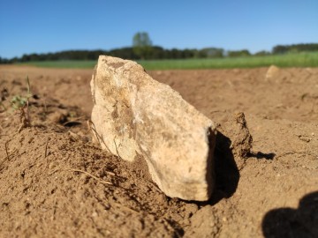 Rozpoznanie uwarunkowań geologicznych w rejonie Żabiego Stawu w ZPK, 