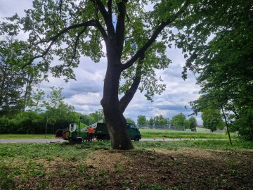 Pielęgnacja pomników przyrody na terenie Sieradzkich PK, 