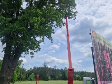 Pielęgnacja pomników przyrody na terenie Sieradzkich PK, 